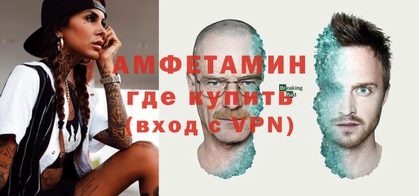 прущие грибы Гусев