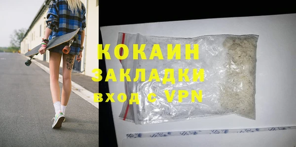 прущие грибы Гусев