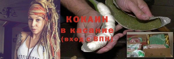 прущие грибы Гусев