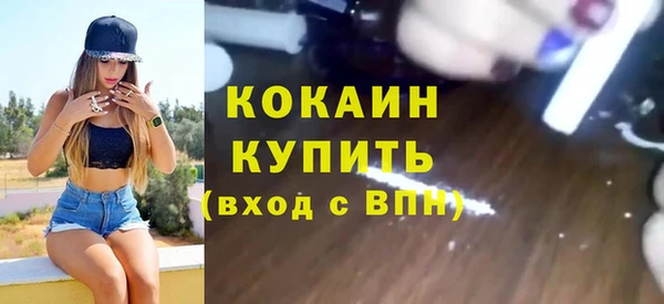 прущие грибы Гусев