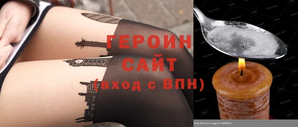 прущие грибы Гусев