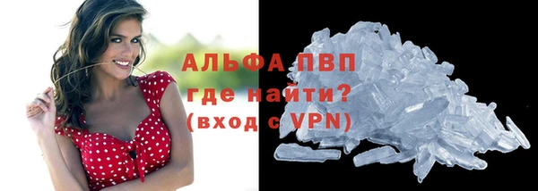 прущие грибы Гусев