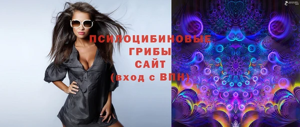 прущие грибы Гусев