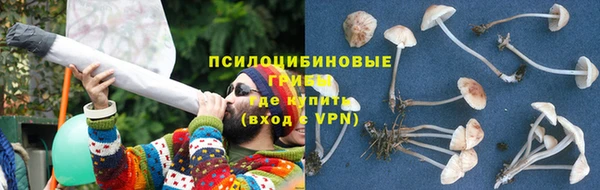 метадон Гусь-Хрустальный