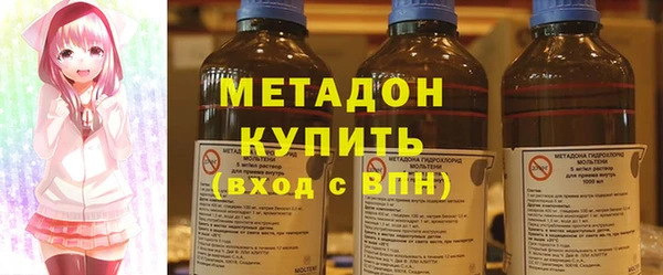 прущие грибы Гусев