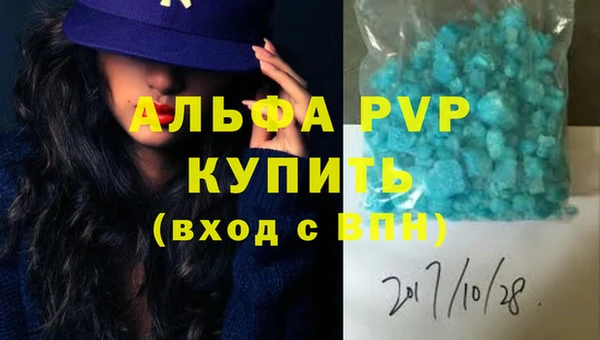 прущие грибы Гусев