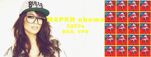 прущие грибы Гусев